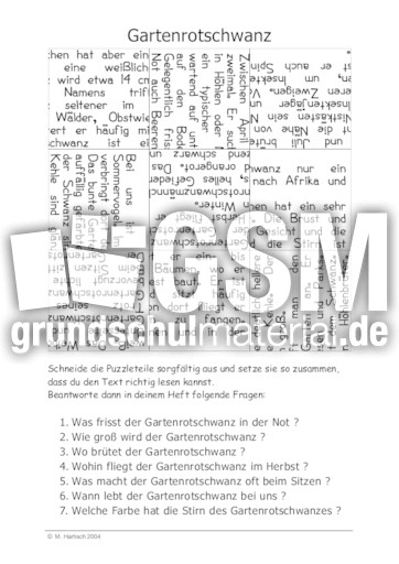 Gartenrotschwanz.pdf